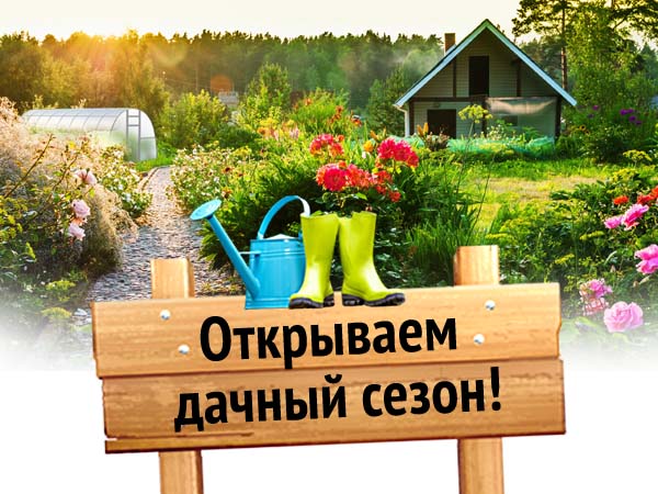 Магазин Дачный Сезон Магазин Дачный Сезон