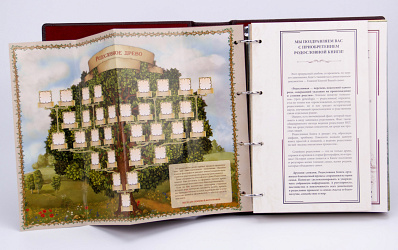 Родословная книга "Семейный альбом"