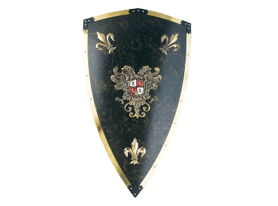 Щит рыцарский Карла V Великого