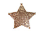 Значок шерифа США, пятиконечный