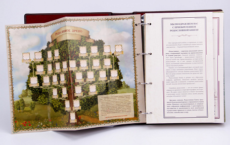 Родословная книга в кожаной обложке  (в футляре с бархатным ложементом)
