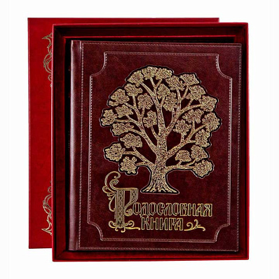Родословная книга в футляре с бархатным ложементом