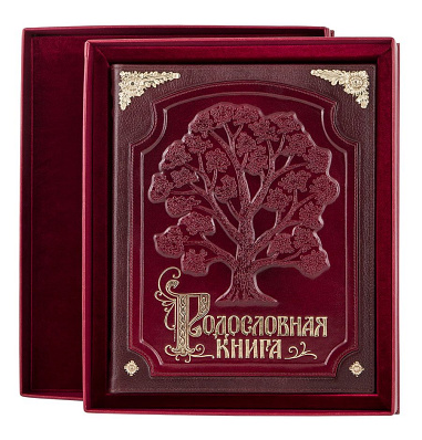 Родословная книга в кожаной обложке (в футляре с бархатным ложементом)